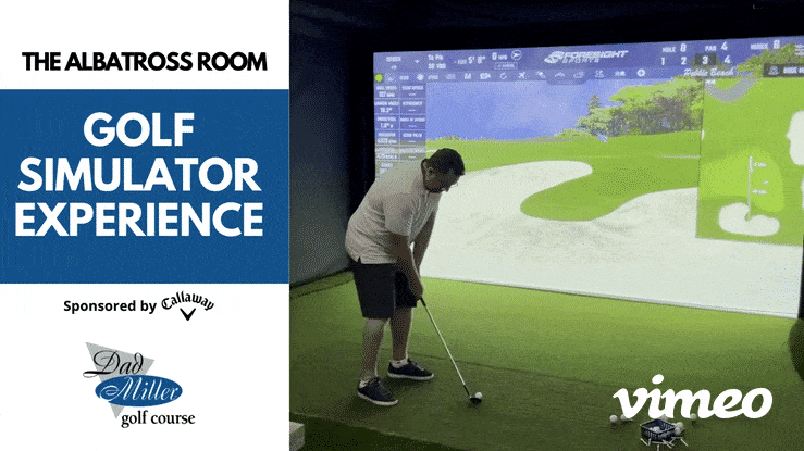 golf simulator gif