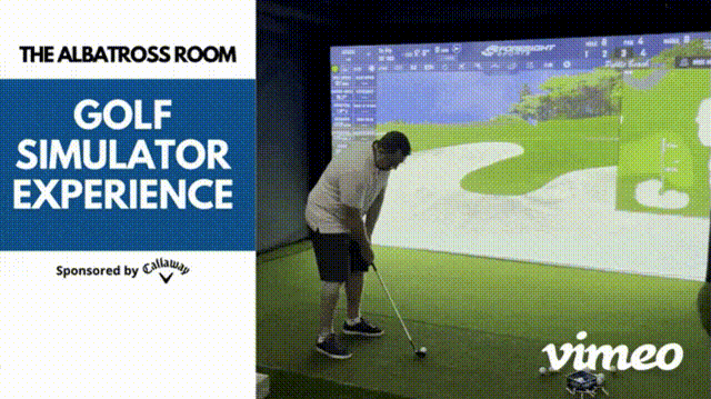 DM Golf Simulaor nologo